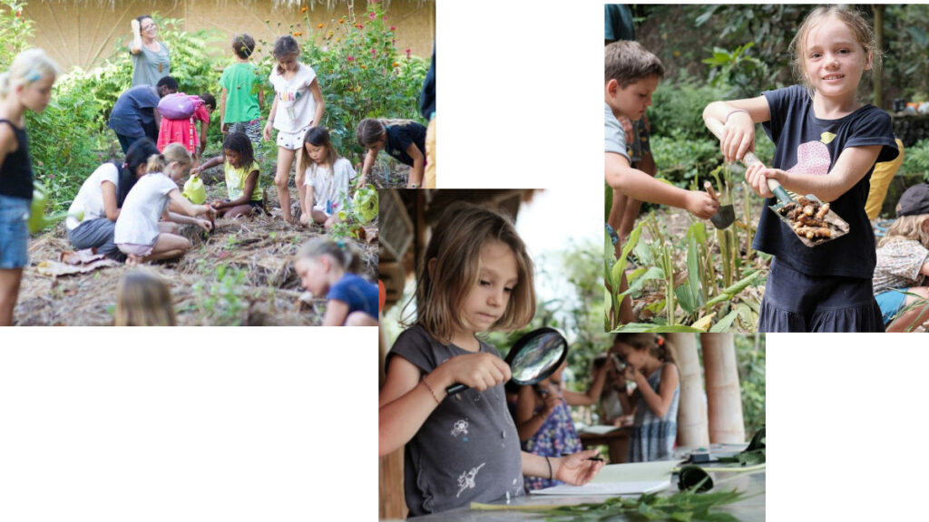 real estate, From Beaches to Books: Tulum’s Transformation with the GREEN SCHOOL and its effects on Real Estate
