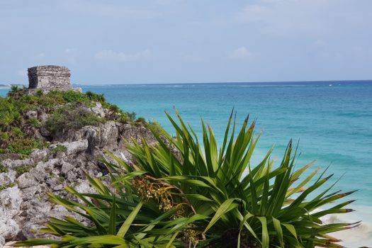 real estate, Riviera Maya Real Estate