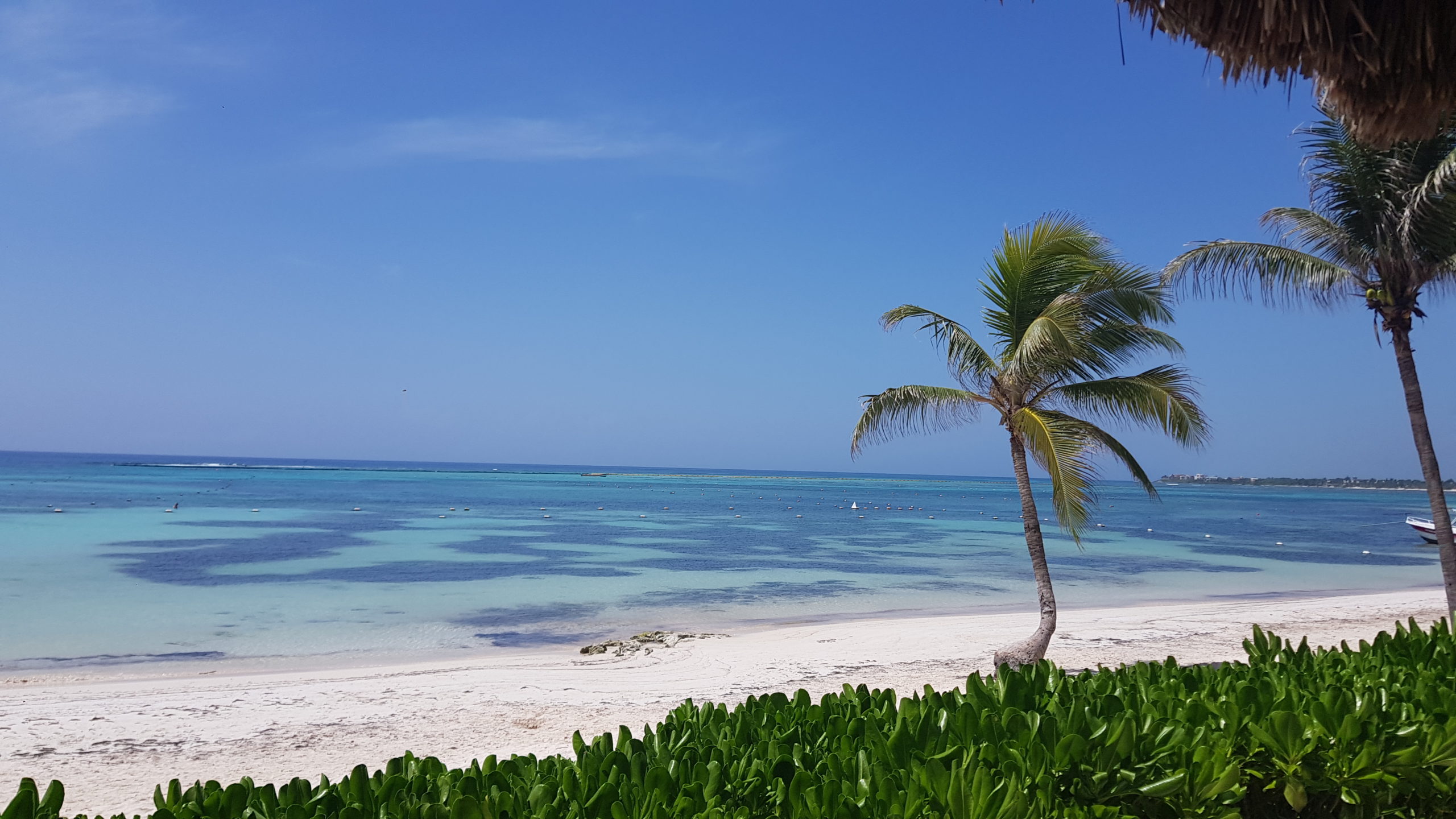 Riviera Maya Of Mexico Has The Best Beaches In The World