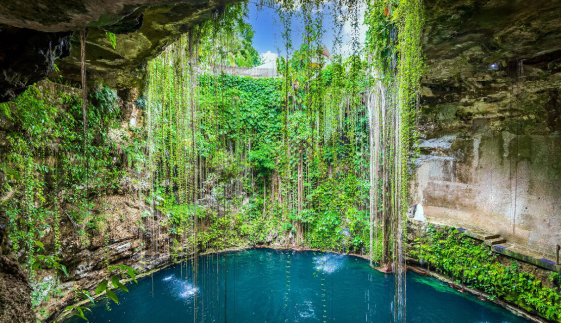 15 Best Cenotes in the Riviera Maya: Complete 2026 Guide with Maps & Prices