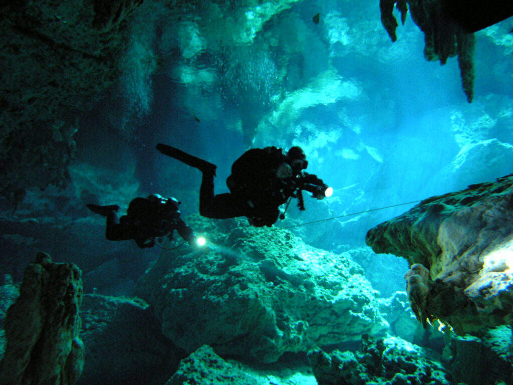 cenotes, 15 Best Cenotes in the Riviera Maya: Complete 2026 Guide with Maps &amp; Prices