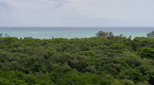 Ixuh Beach Living for Sale in Playa del Carmen