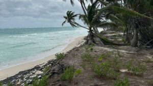 Beachfront Two Waters Caphe Ha Lot for Sale in Sian Kaan in Tulum