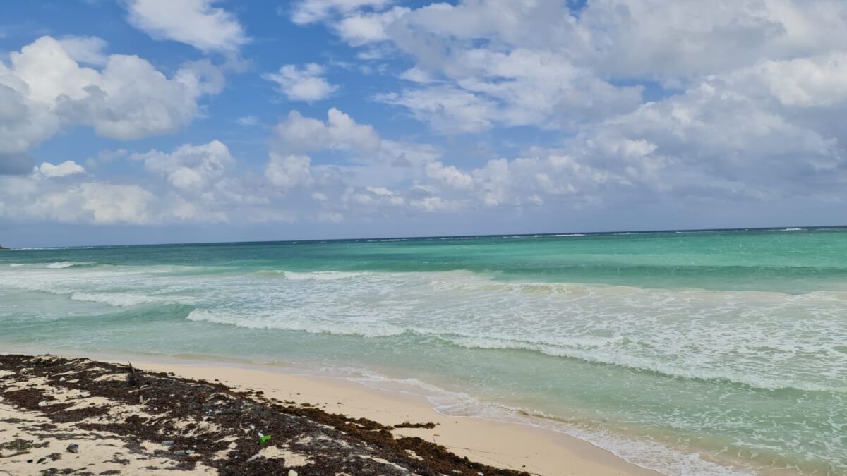 Beachfront 5 acres Lot Sian Kaan Tulum