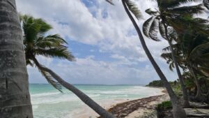 Beachfront Two Waters Caphe Ha Lot for Sale in Sian Kaan in Tulum