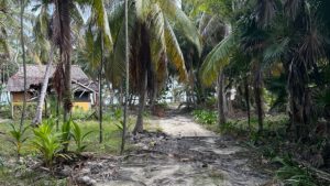 Beachfront Two Waters Caphe Ha Lot for Sale in Sian Kaan in Tulum